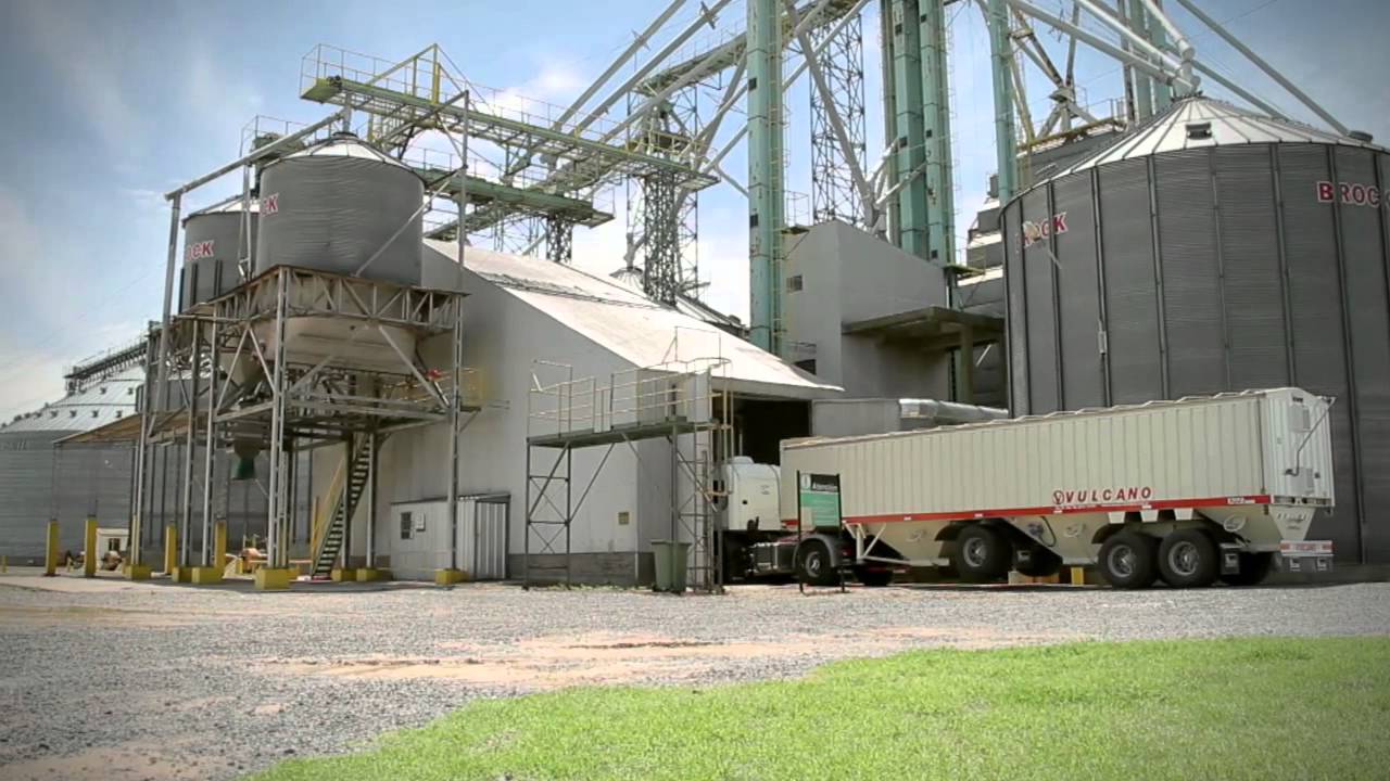 Proave high-oil corn seed program from Argentina