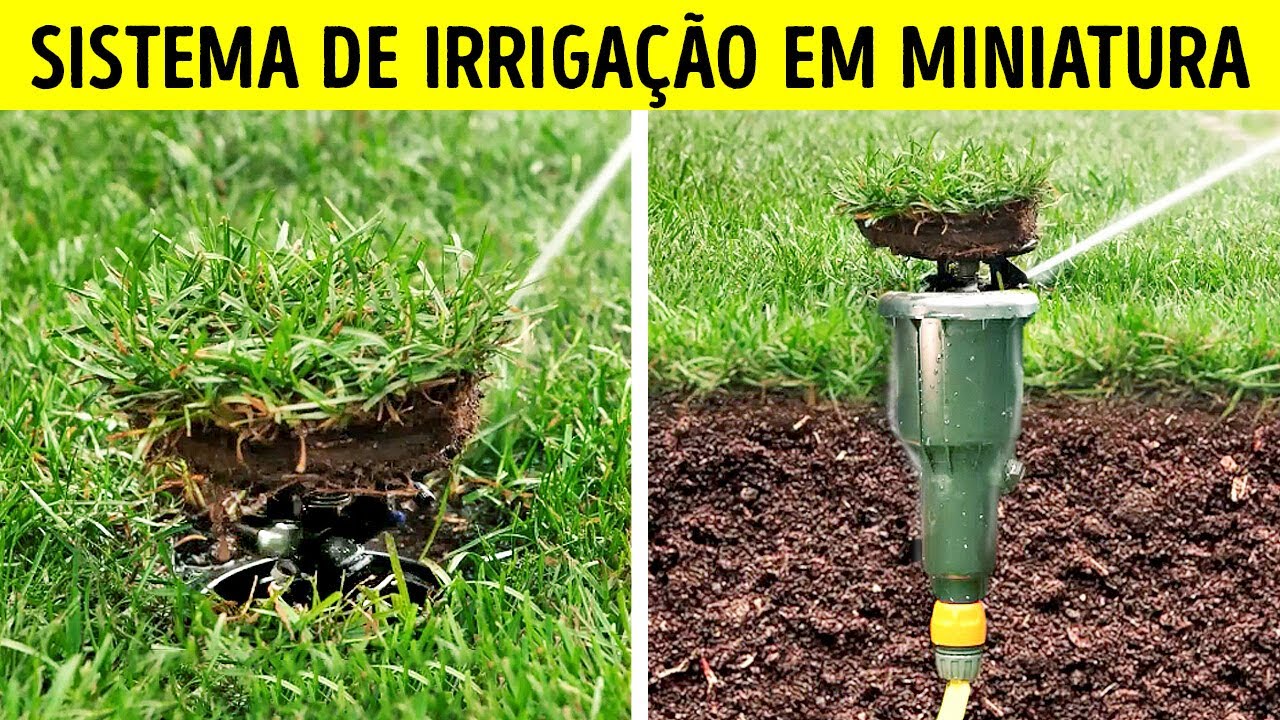 TRUQUES PARA QUINTAL QUE TRANSFORMAÇÃO SEU JARDIM