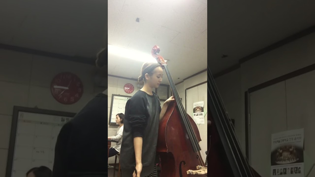 Концерт для контрабаса 