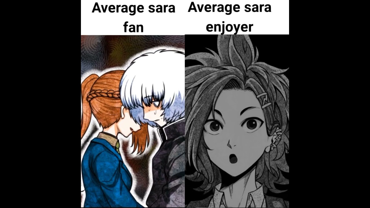 The average sara fan vs The average sara enjoyer | YTTD meme
