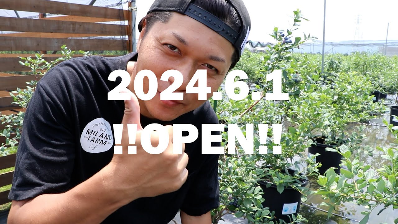 【2024PV】MILAND FARMのブルーベリー狩りが始まります！