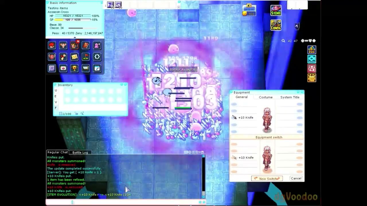 ITEM EVOLUTIONS