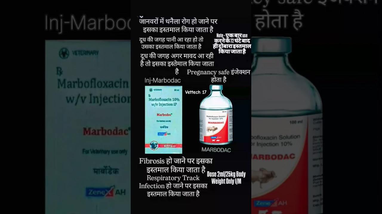 marbofloxacin 10% injection use in veterinary