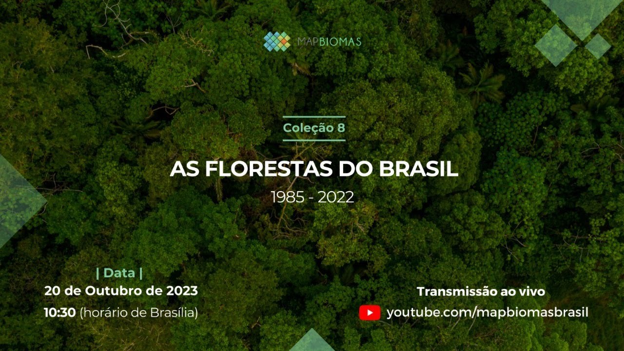 As florestas do Brasil
