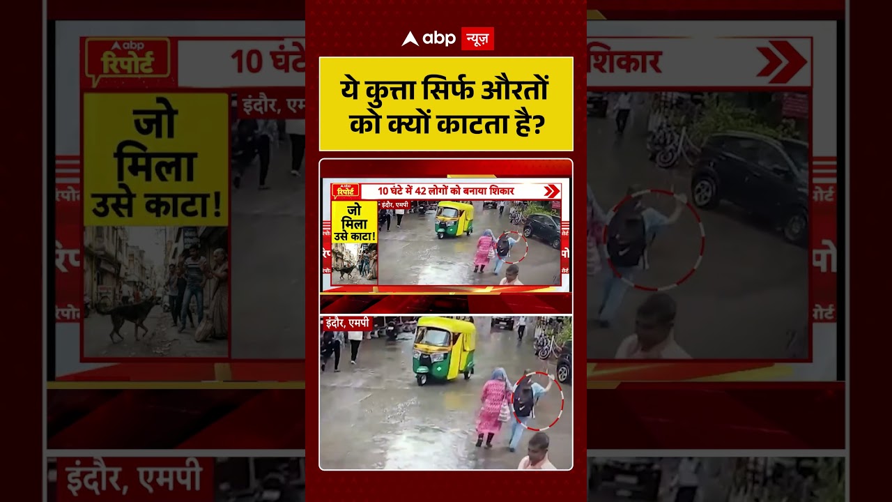 Viral News : ये कुत्ता सिर्फ औरतों को क्यों काटता है ?| latest news | Viral Video | #shorts