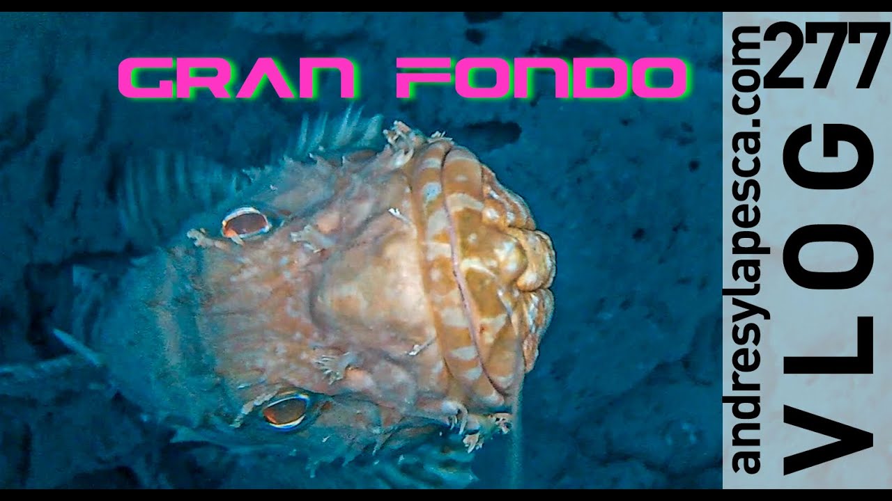 PESCA DE GRAN FONDO 