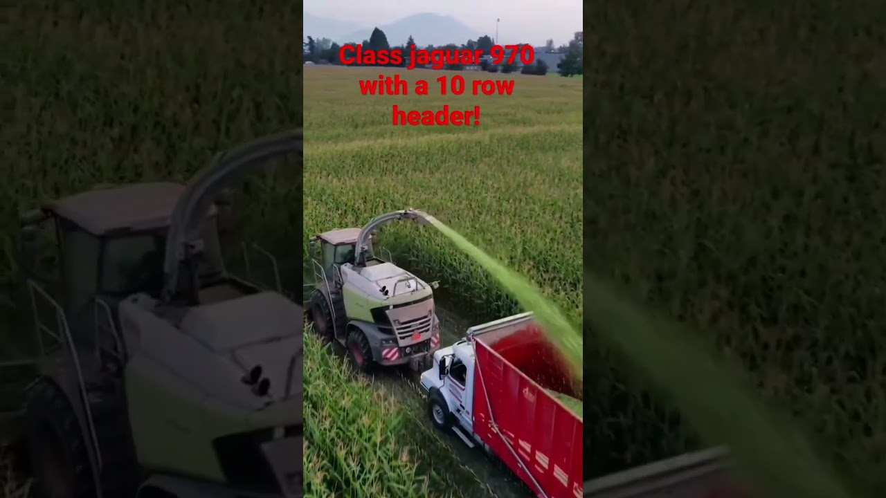 Class jaguar 970 with a 10 row header