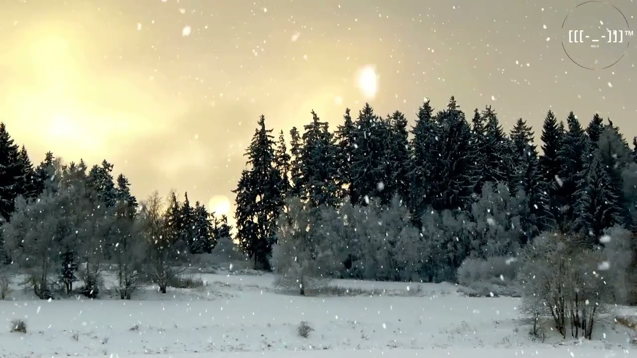 Beautiful Snow In Jungle Video || Relaxing Meditation Piano Music || Relx