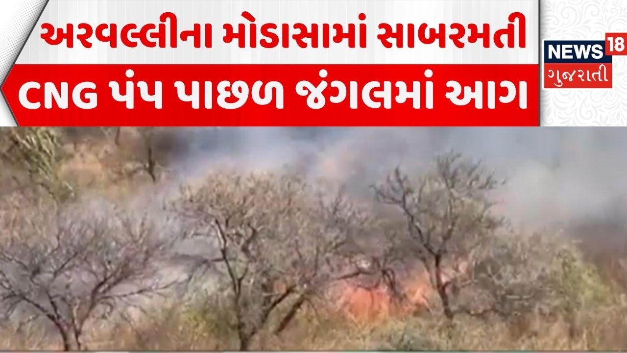 Arvalli forest fire news | સાબરમતી CNG પંપ પાછળ જંગલમાં આગનો મામલો | Modasa | News18 Gujarati