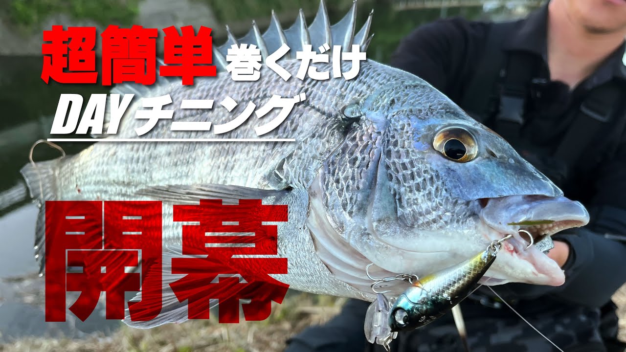 【初心者必見】簡単アクション。釣り方のコツ。ポイント選定。やっぱりトップゲームは面白い！！