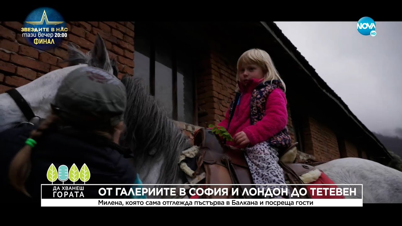 Да хванеш гората (11.12.2022)
