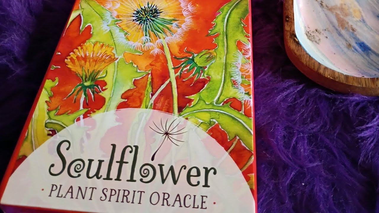 Soul flower plant Spirit Oracle! 🌻🌞♌