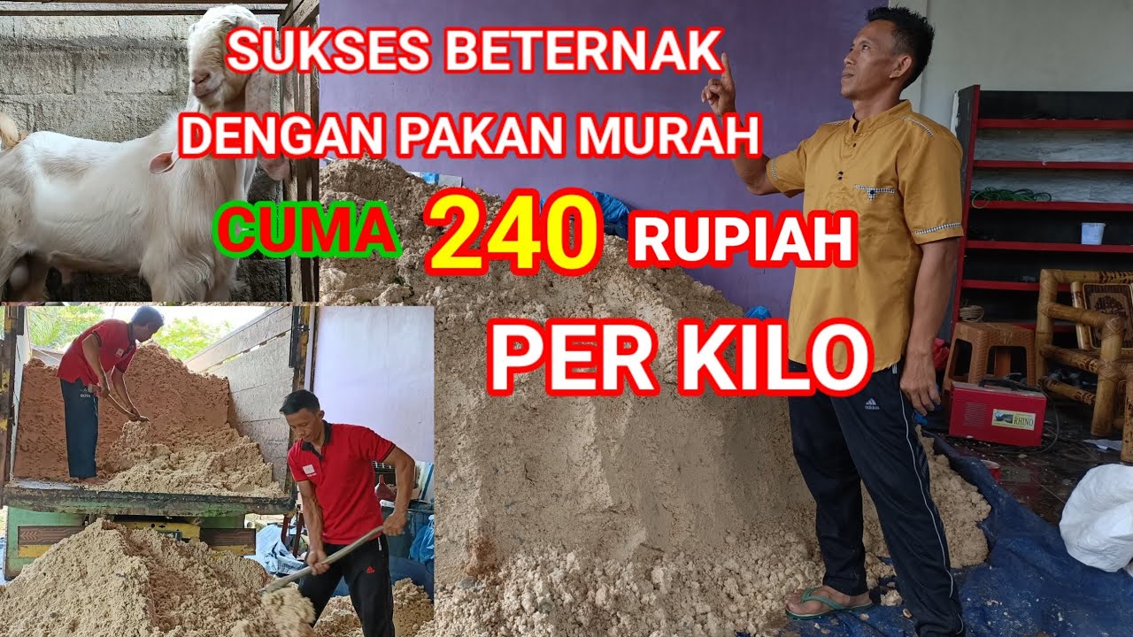 PAKAN TERNAK TINGGI KARBOHIDRAT PALING MURAH