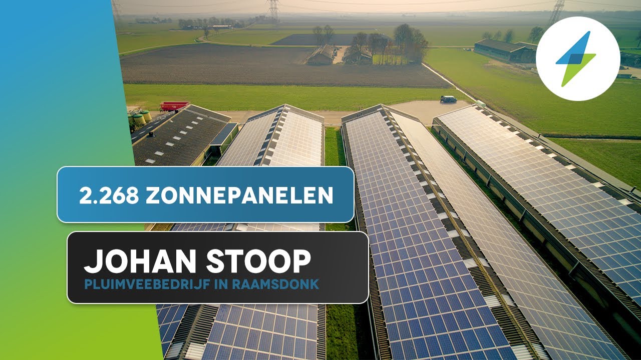2.268 zonnepanelen bij pluimveebedrijf Johan Stoop in Raamsdonk