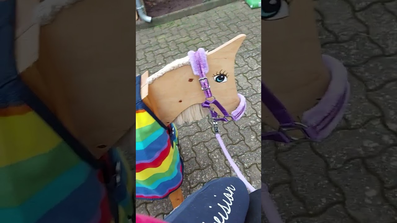 Ausritt mit Cindi und Toffi 🐎💖