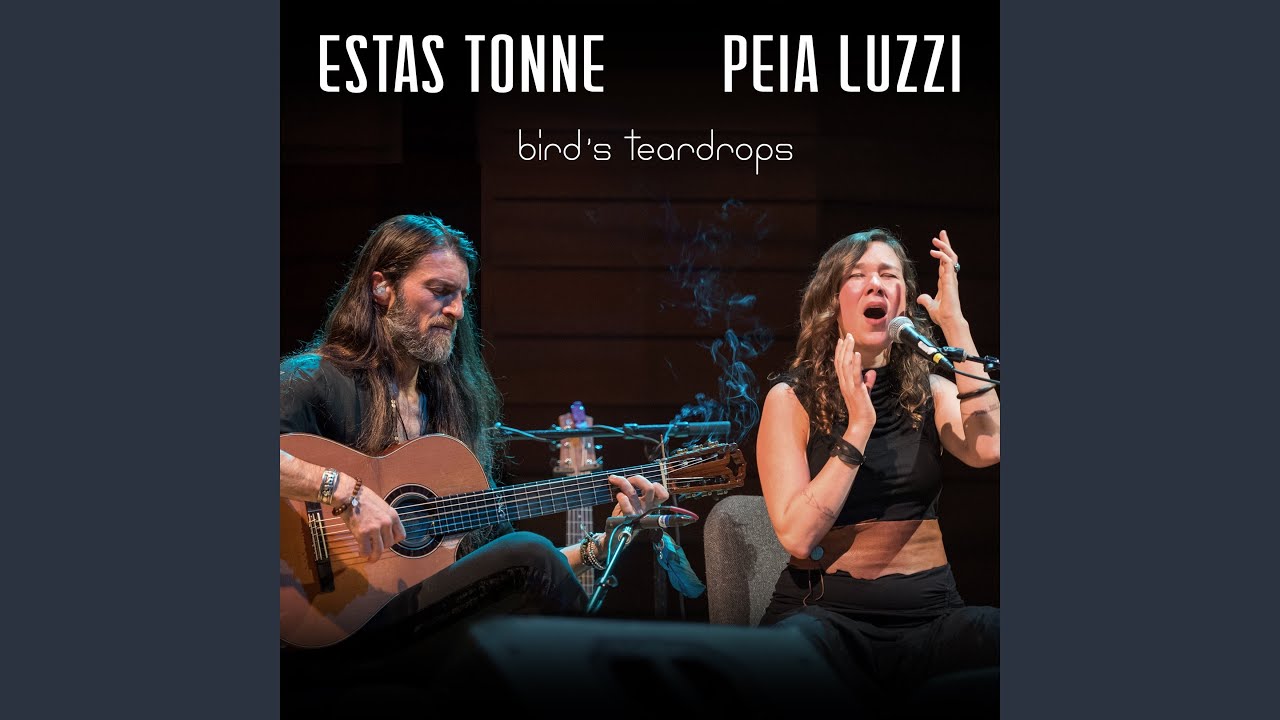 Bird's Teardrops (Live)