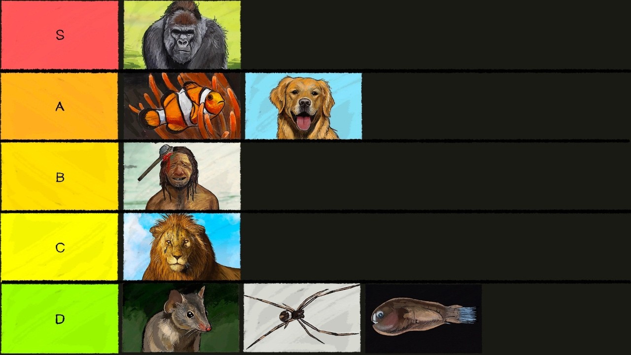 The Worst Animals To Be Born A Male