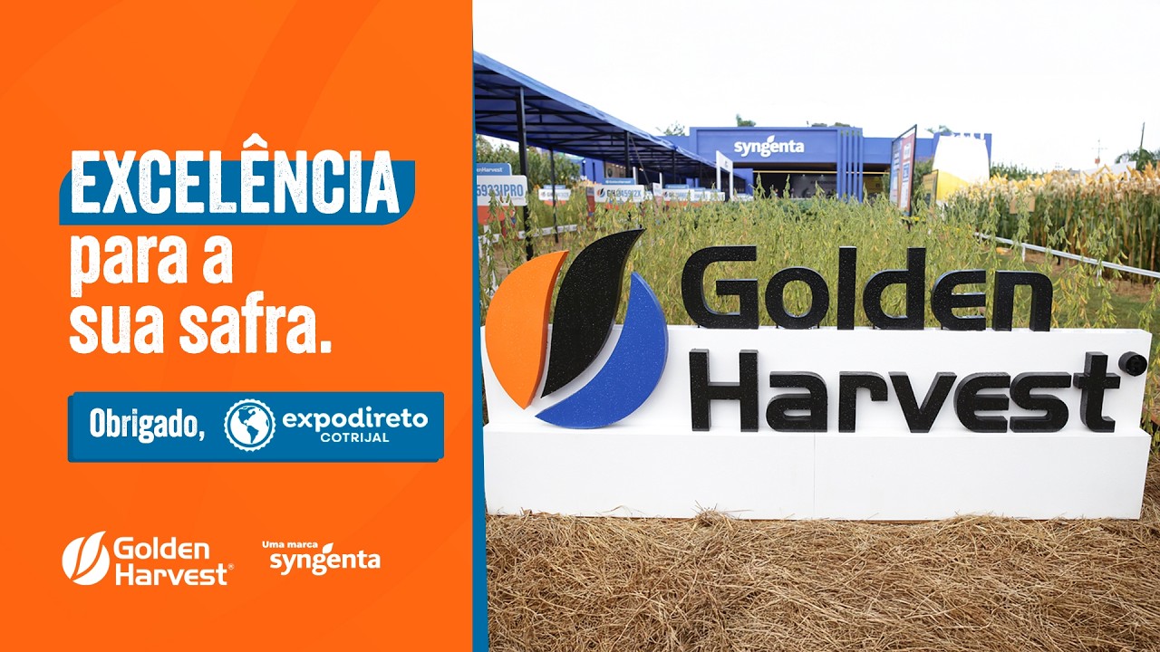 Destaques Golden na Expodireto 2026: Genética e Estabilidade​