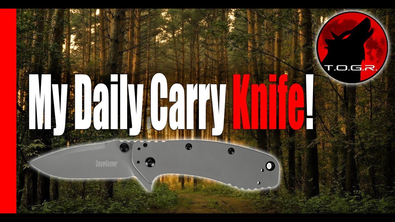 My Daily Carry - Kershaw Cryo II Pocket Knife Review - Blade Perfection