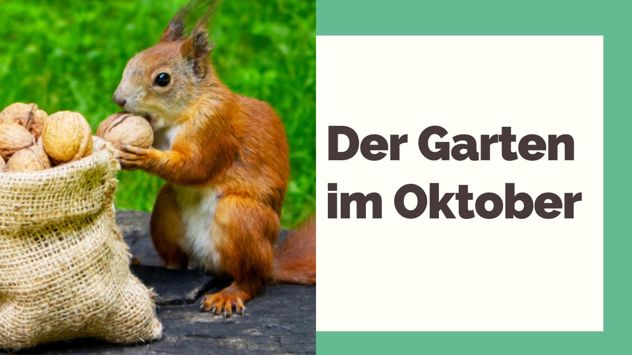 Der Garten im Oktober: Was jetzt zu tun ist!