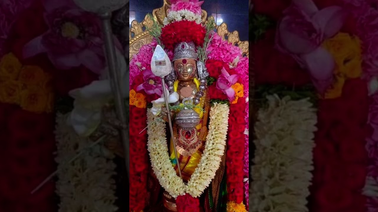 #murgan dhuni#shorts #murgansongs