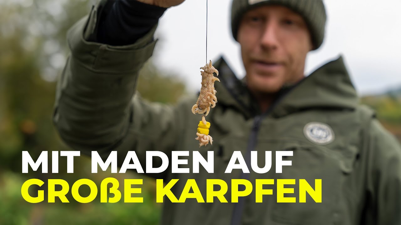 Mit diesem Rig auf Winterkarpfen im Balkan! Geile Session!