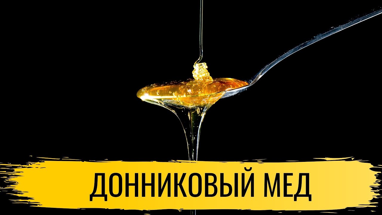 Мед. Донниковый мед