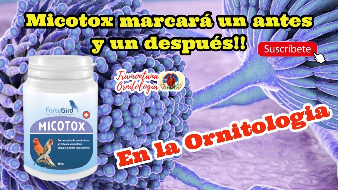 MICOTOX marcará un antes y un después en la Ornitologia!!