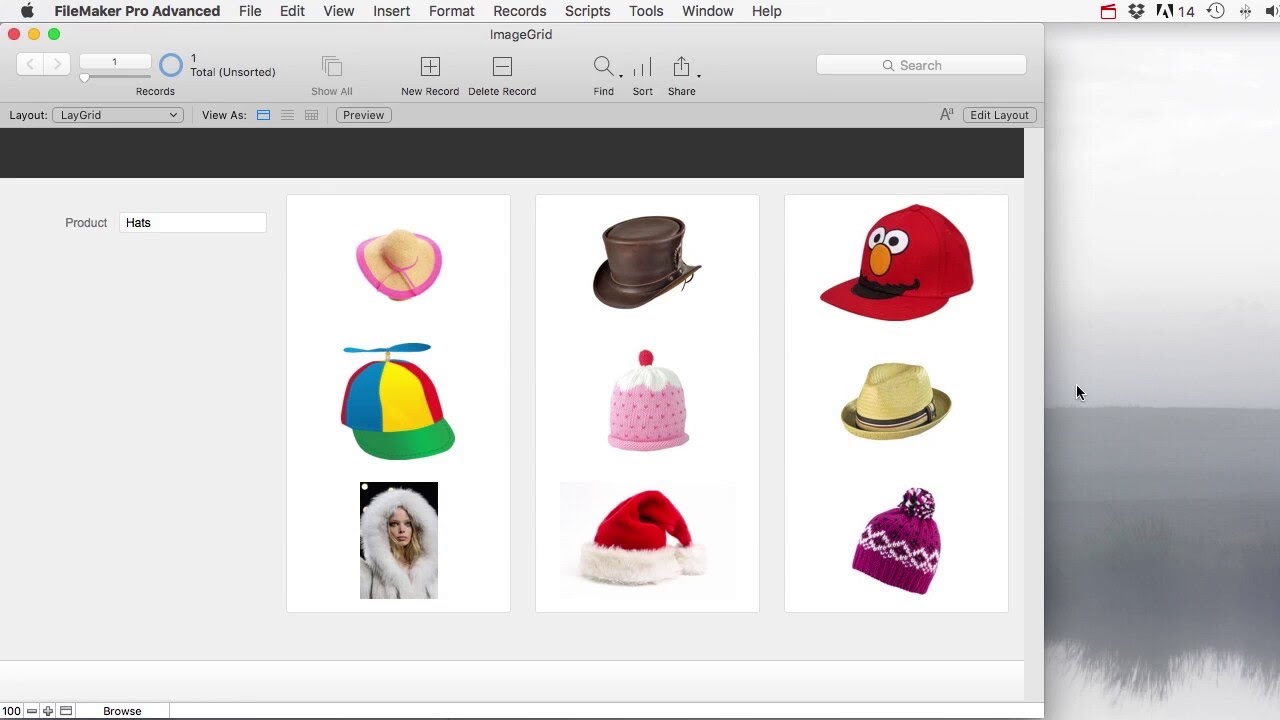 Filemaker Pro - Image Grid