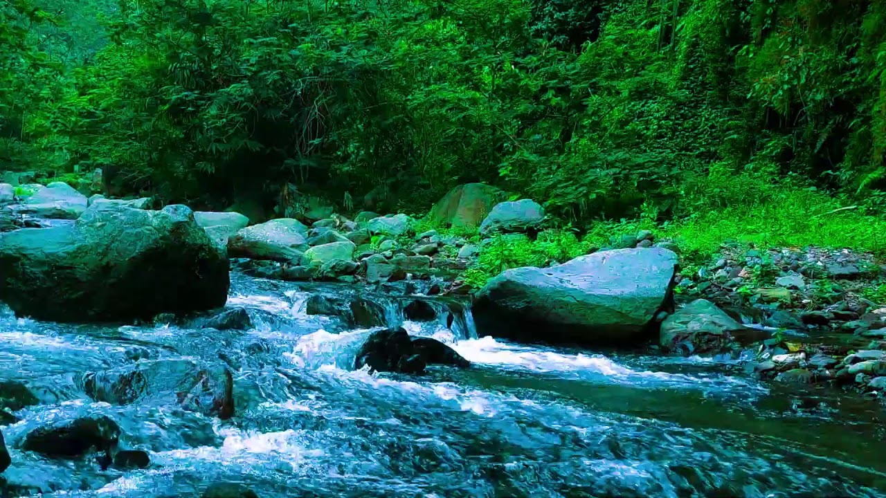 Deep Sleep River Sounds  10 Hours Continuous Water Relaxation