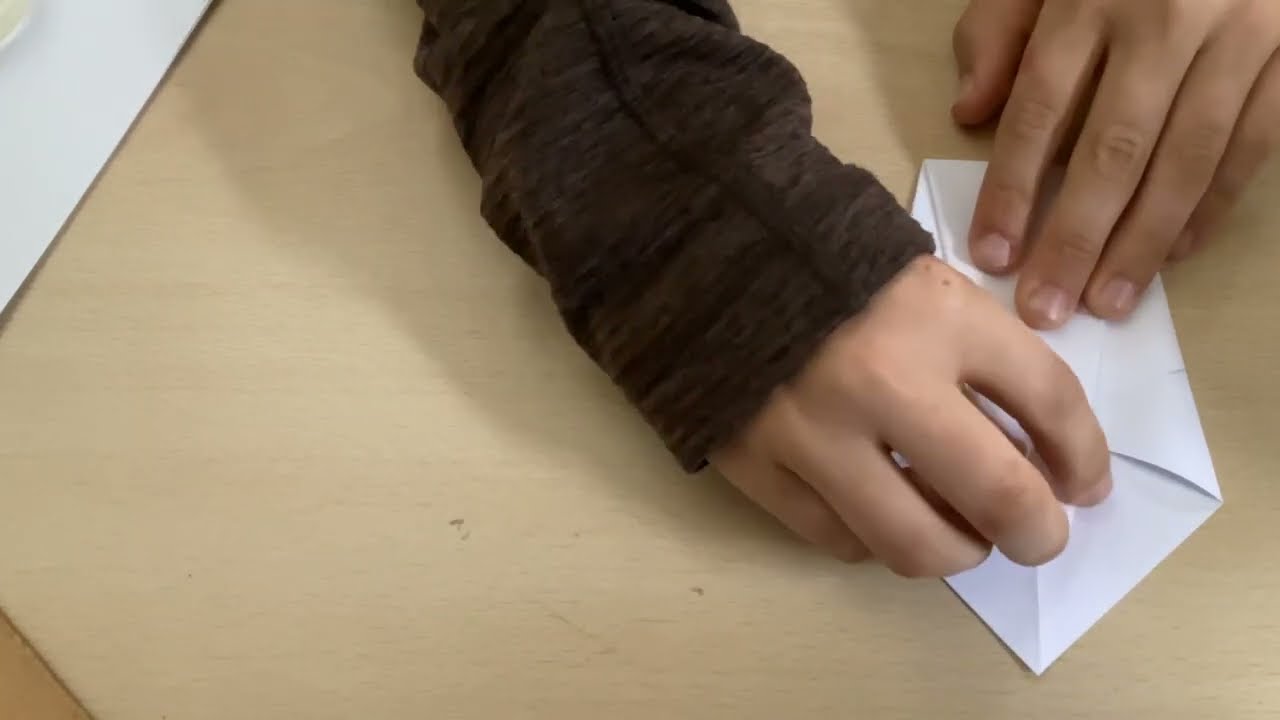 Origami Schwan basteln
