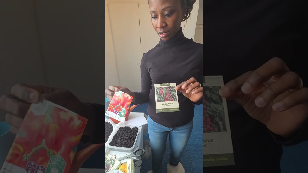 This is how you plant your Organic food part 1.
