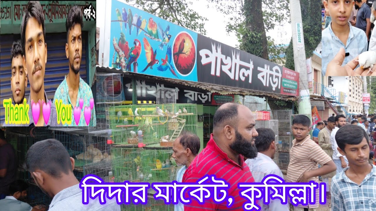 ০৫৩- দিদার মার্কেট, কুমিল্লা।  053- Didar Market, Comilla. মিরপুর পাখির হাট। পাখাল বাড়ি।