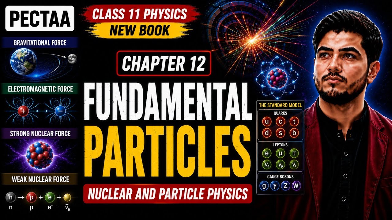 Fundamental Particles | Class 11 Physics New Book | PECTAA 