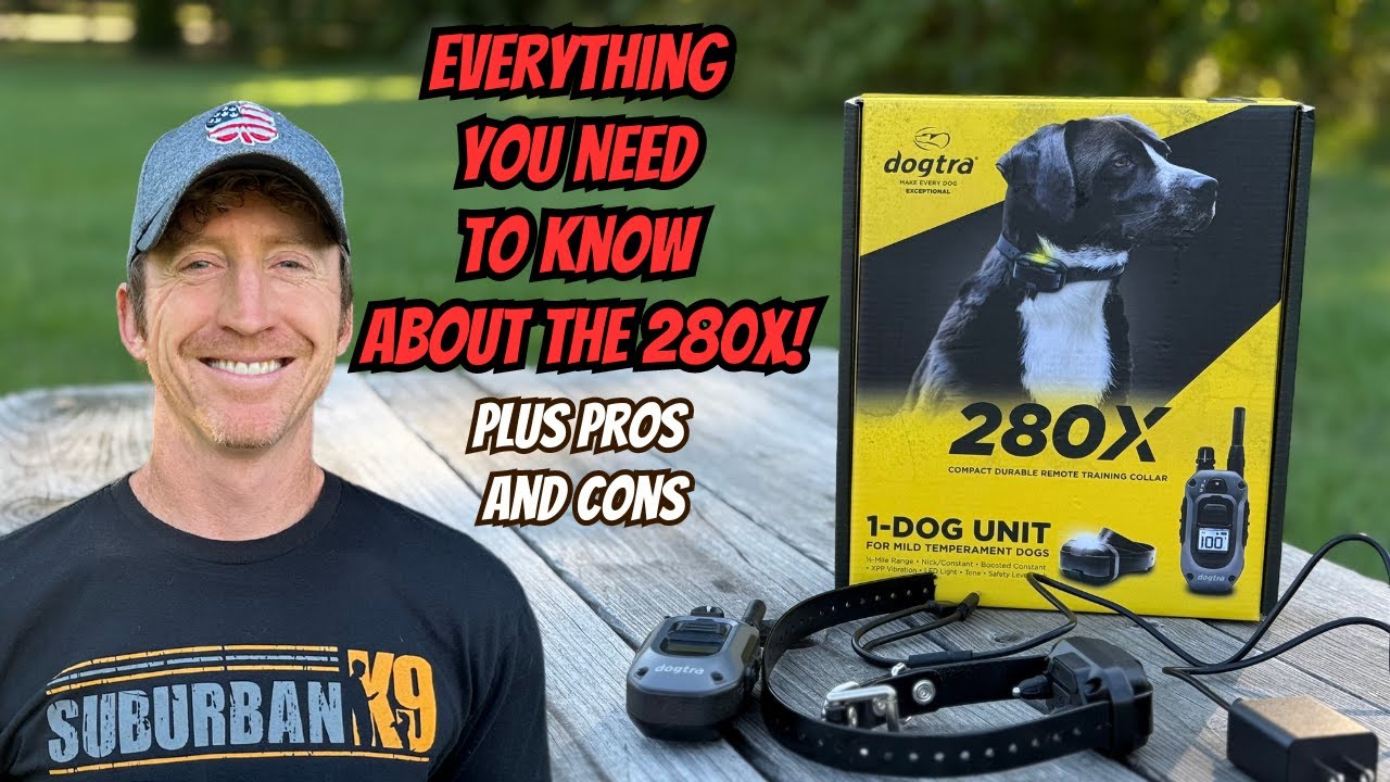 Обзор Dogtra 280x: плюсы и минусы