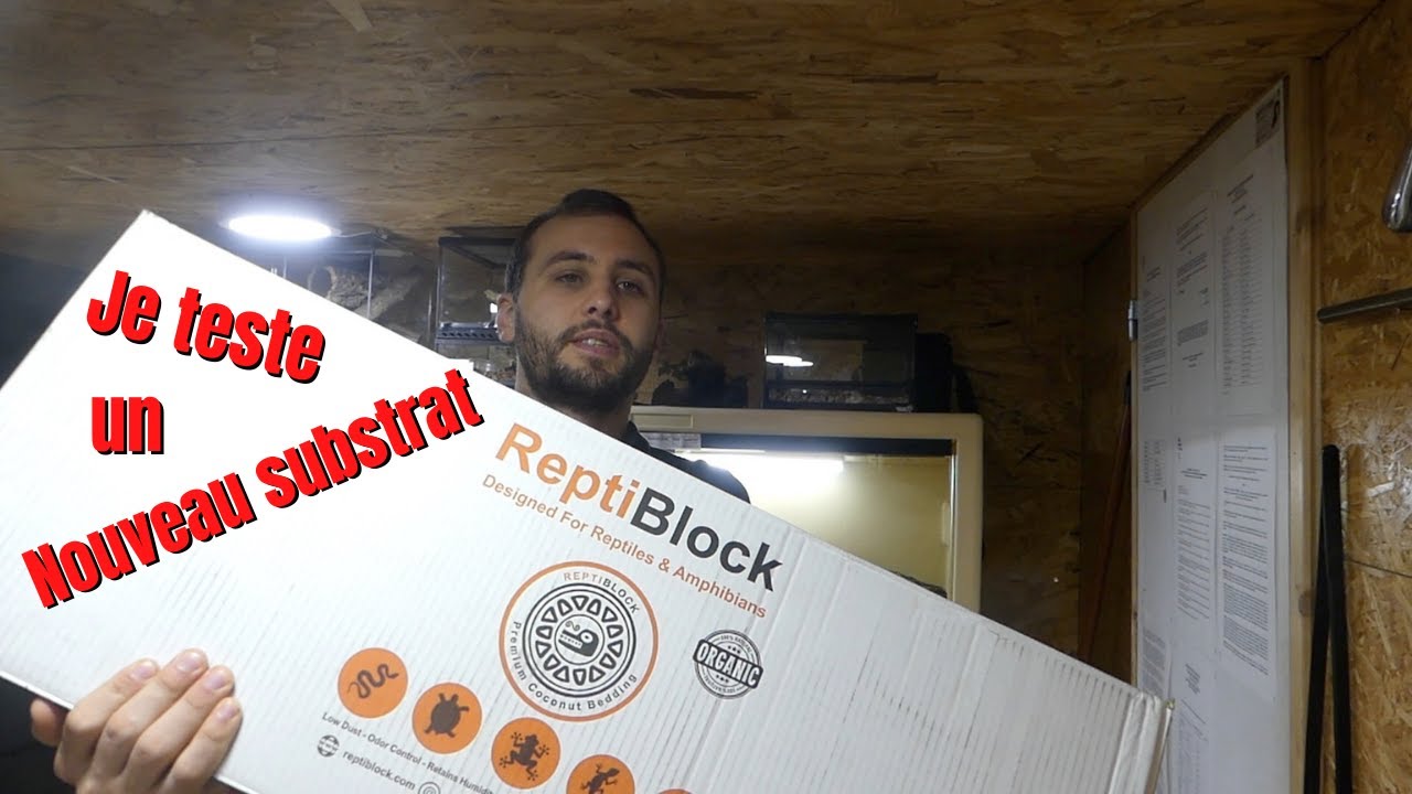 Je decouvre REPTIBLOCK !!!! - REPTI'STORE