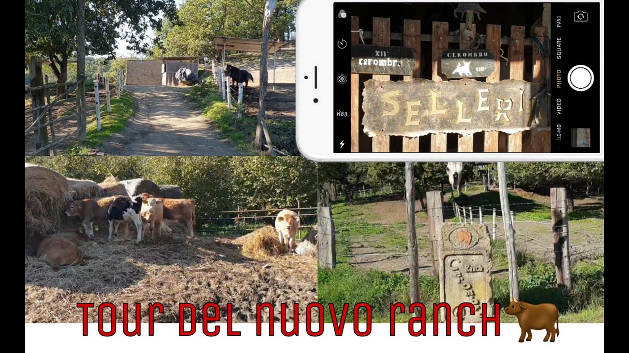 Tour del nuovo ranch!🐂 || WR