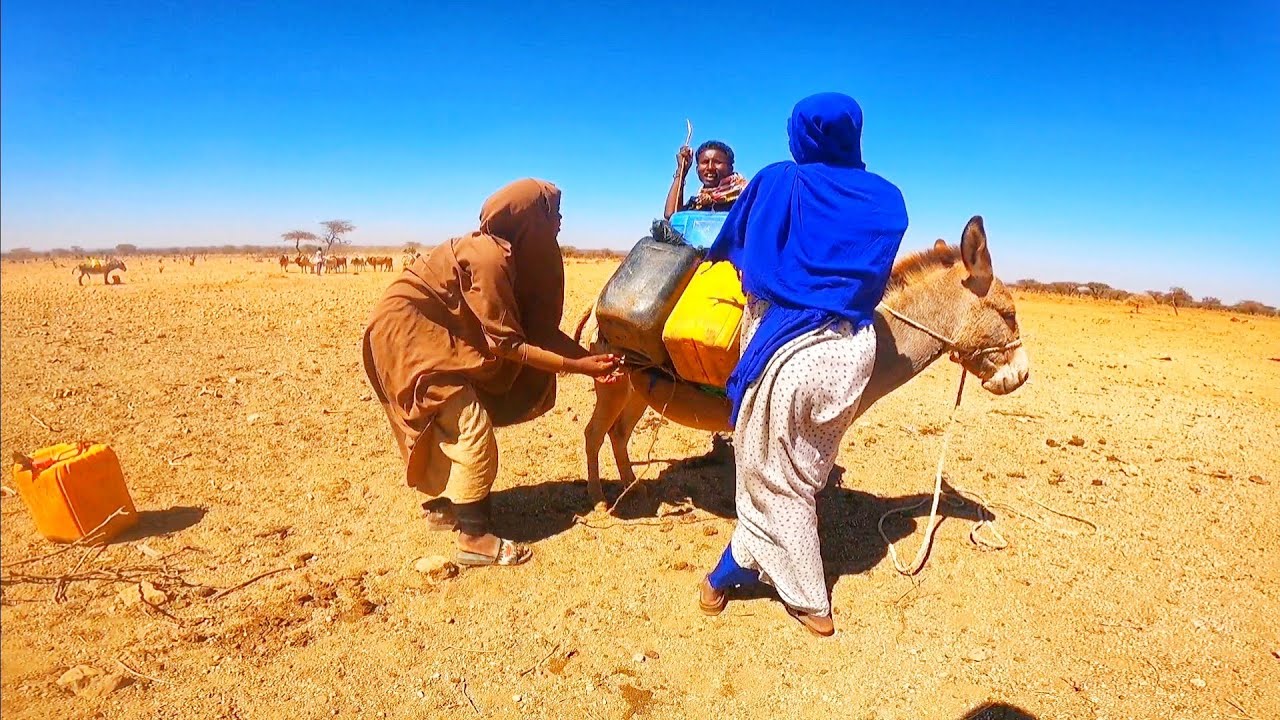 Sida loo  Dhaamiyo miyiga -Baadiyaha |Normal life And  somali Traditions