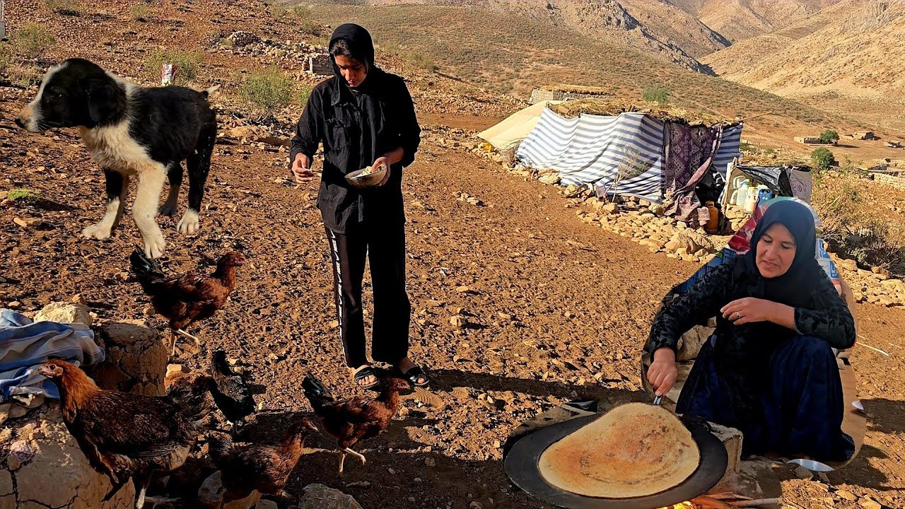 Nomadic Life in Iran | Traditional Lifestyle and Daily Life of Nomads🏕