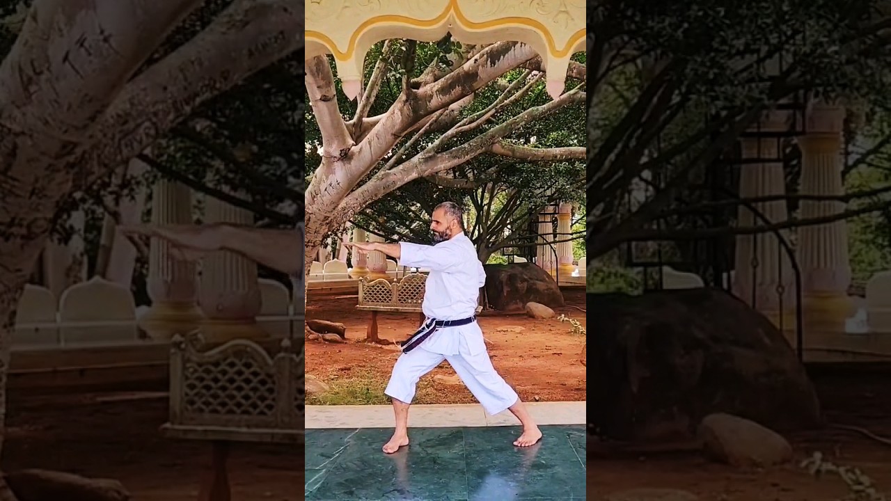 Haito uchi technique #kagayaku #karate #martialarts