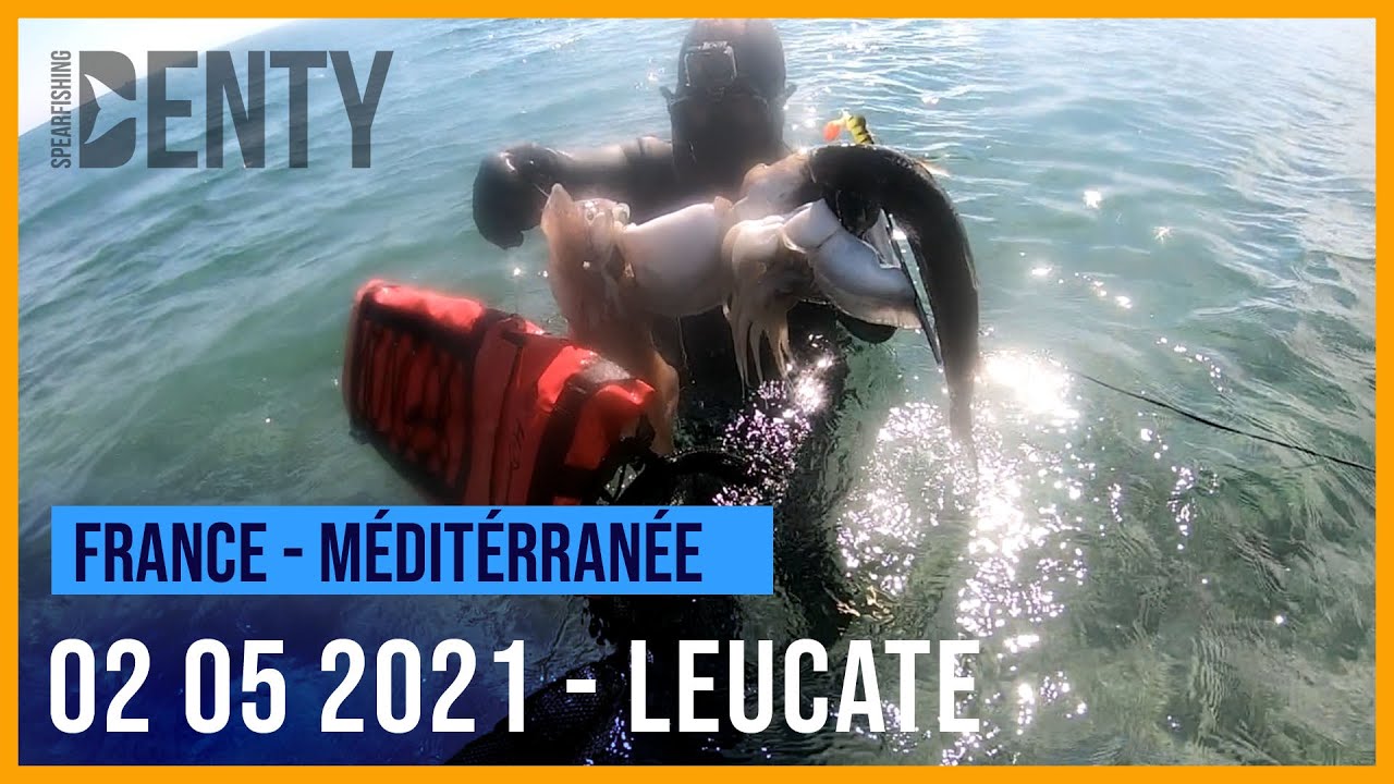 Chasse sous-marine à Leucate début mai