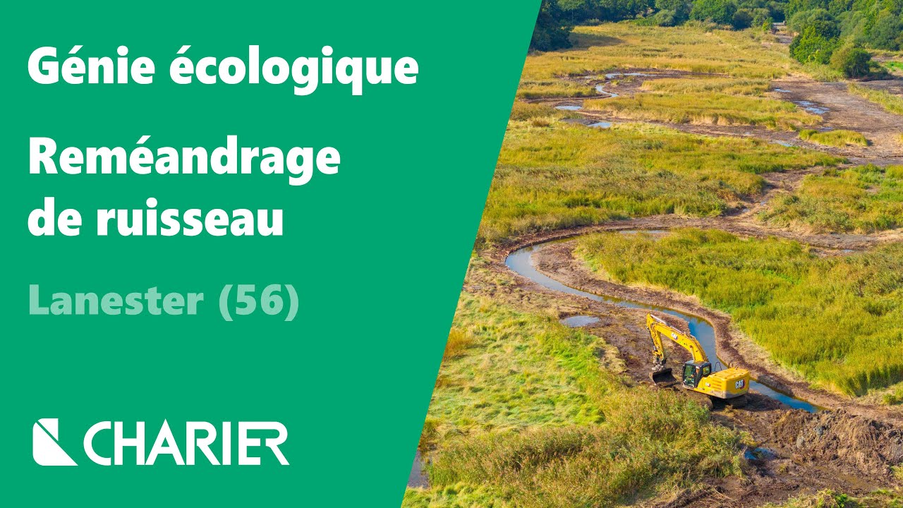 Reméandrage de ruisseau à Lanester