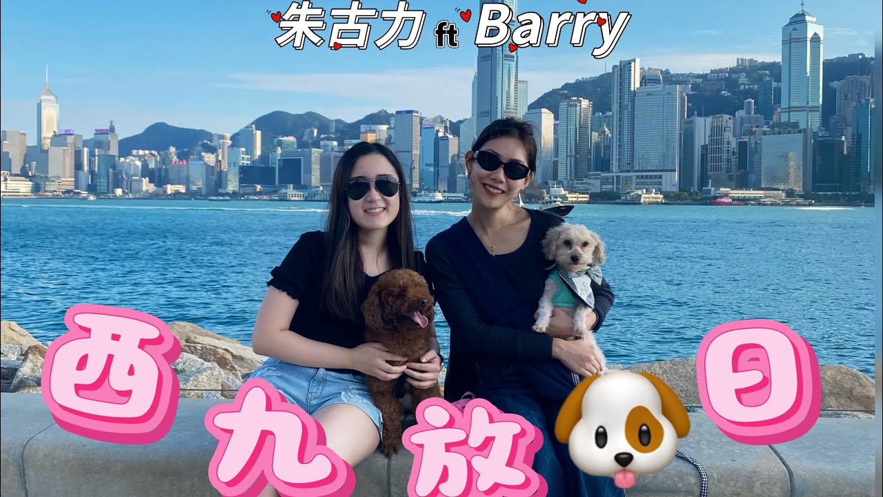 🐶🐶狗狗相識日｜西九放狗｜朱古力 ft. Barry｜狗狗都識自己排隊⁉️｜西九係放狗好去處❓｜Yorkie x Terrier｜🇺🇸 美國尼 🇭🇰香港居住既狗｜CoCo SINWT