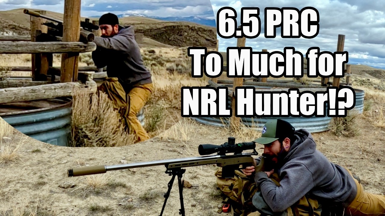 6.5 PRC NRL Охотник склонен к использованию баррикад: сколько ударов!