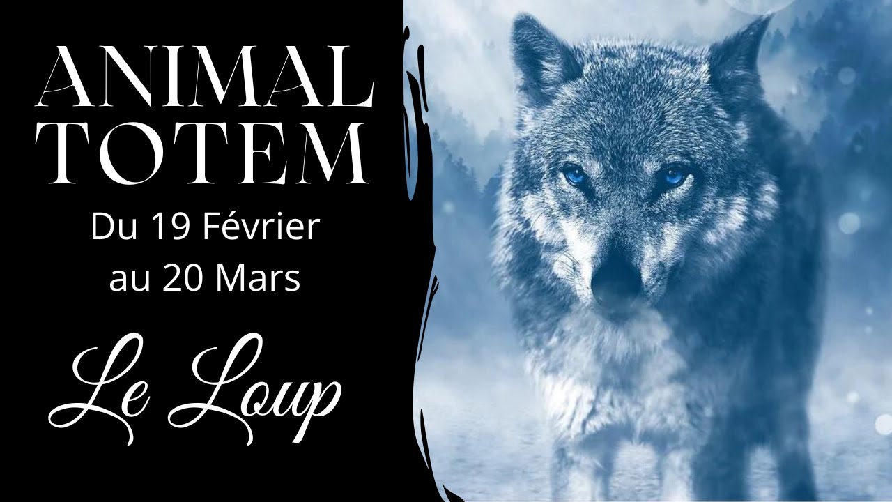 Animal Totem - Le Loup - Du 19 Février au 20 Mars - Astrologie amérindienne