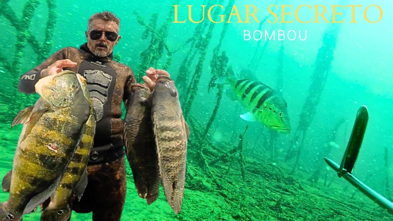 Pesca sub  -  Lugar Secreto .  | FAMA SUB | #pescasub #rioparaná #tucunare #fishing .
