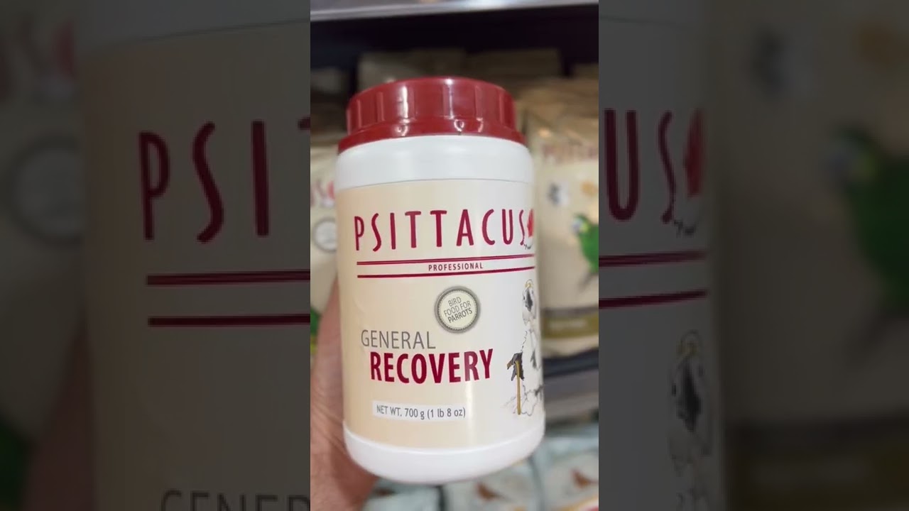 Psittacus - recovery