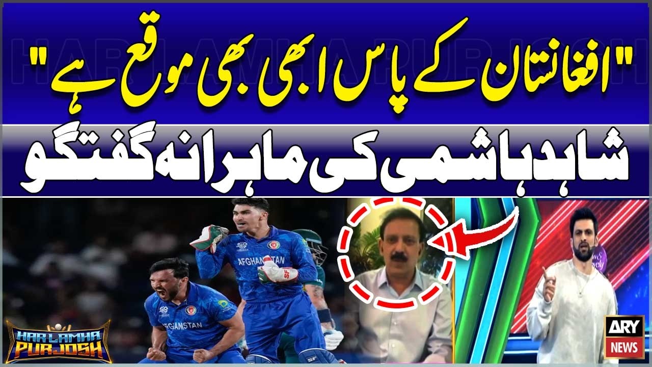 Is Afghanistan Out of T20 World Cup? Experts Share Key Insights
