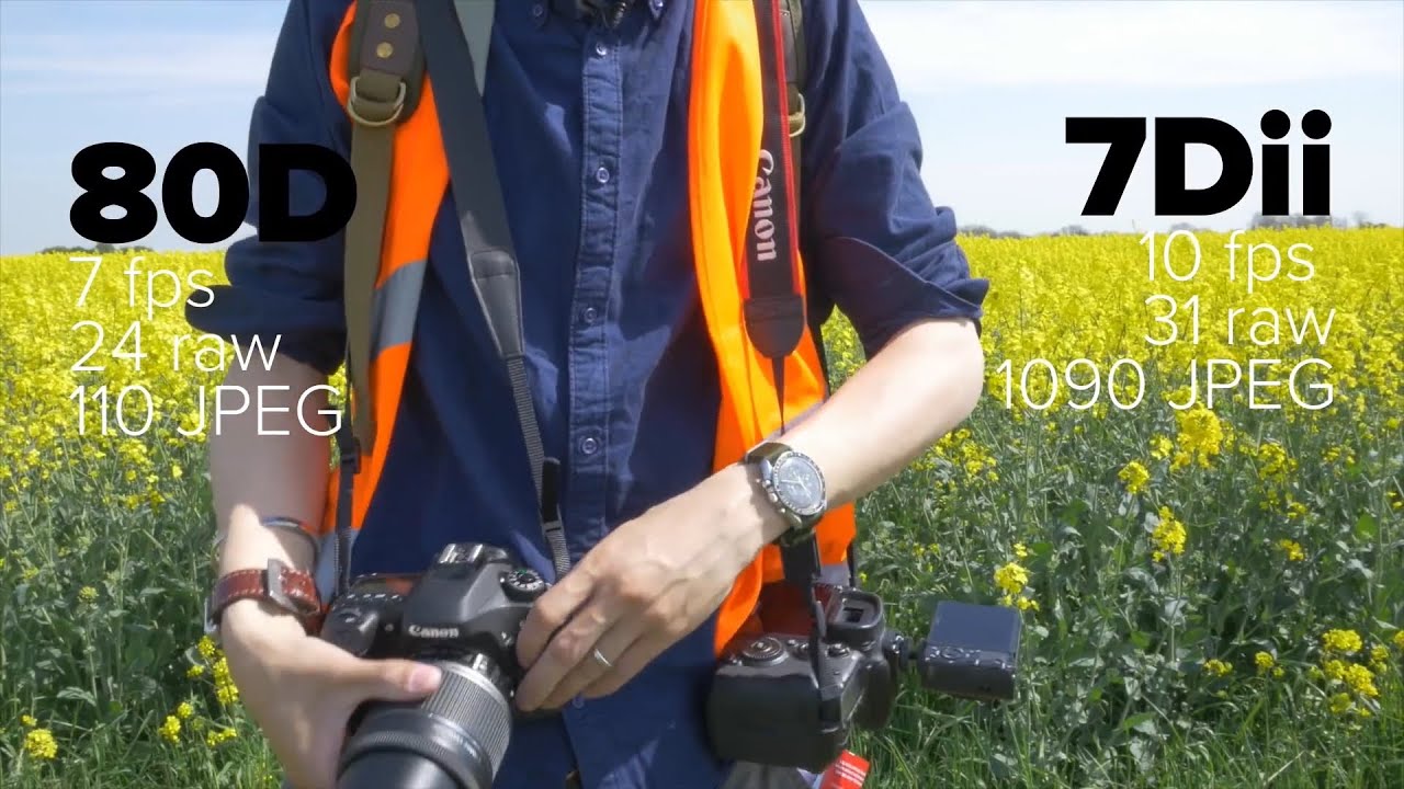 DRTV по-русски: 5 главных отличий Canon 80D & 7D Mark II