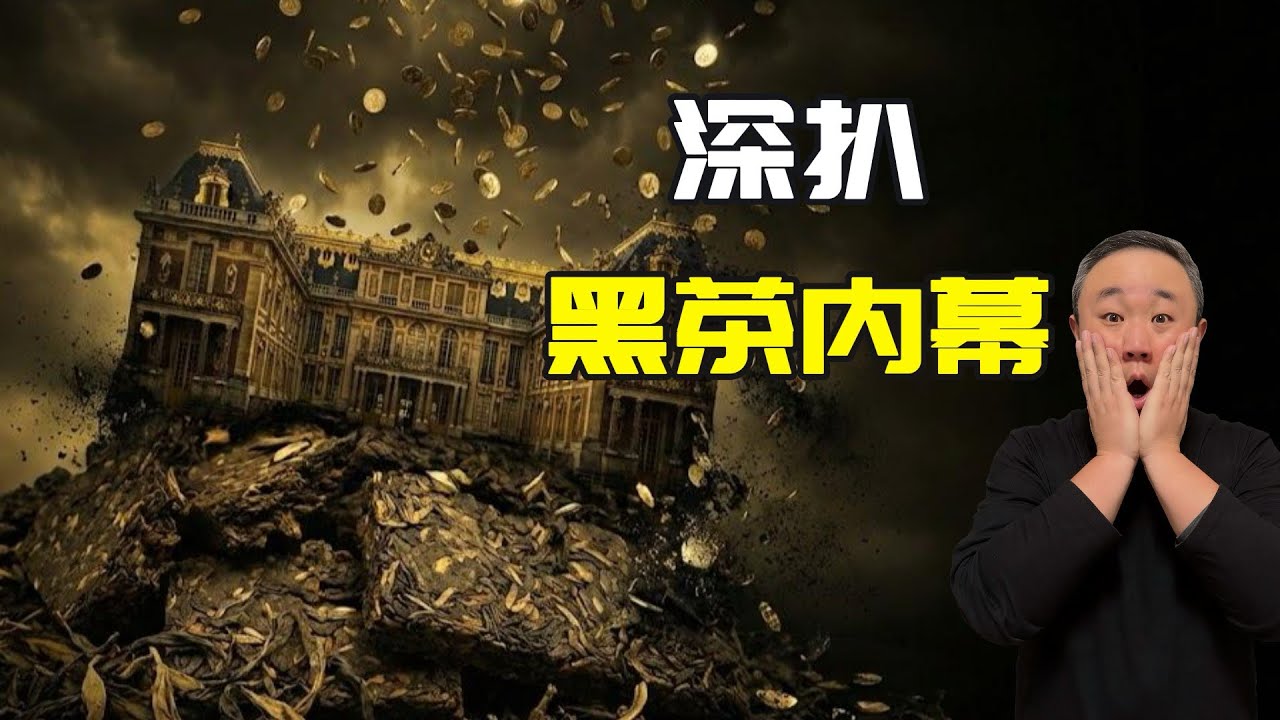 4980的茶砖是神药还是骗局？揭秘中国县城的“合法”割韭菜 | 黑茶传销真相
